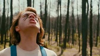 雪崩王子在线观看  第2张